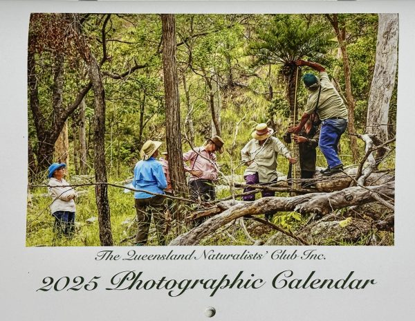 2025 Queensland Naturalists' Club  Calendar