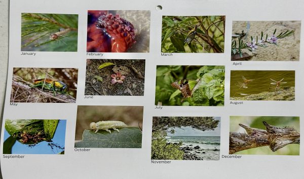 2025 Queensland Naturalists' Club  Calendar - Image 2